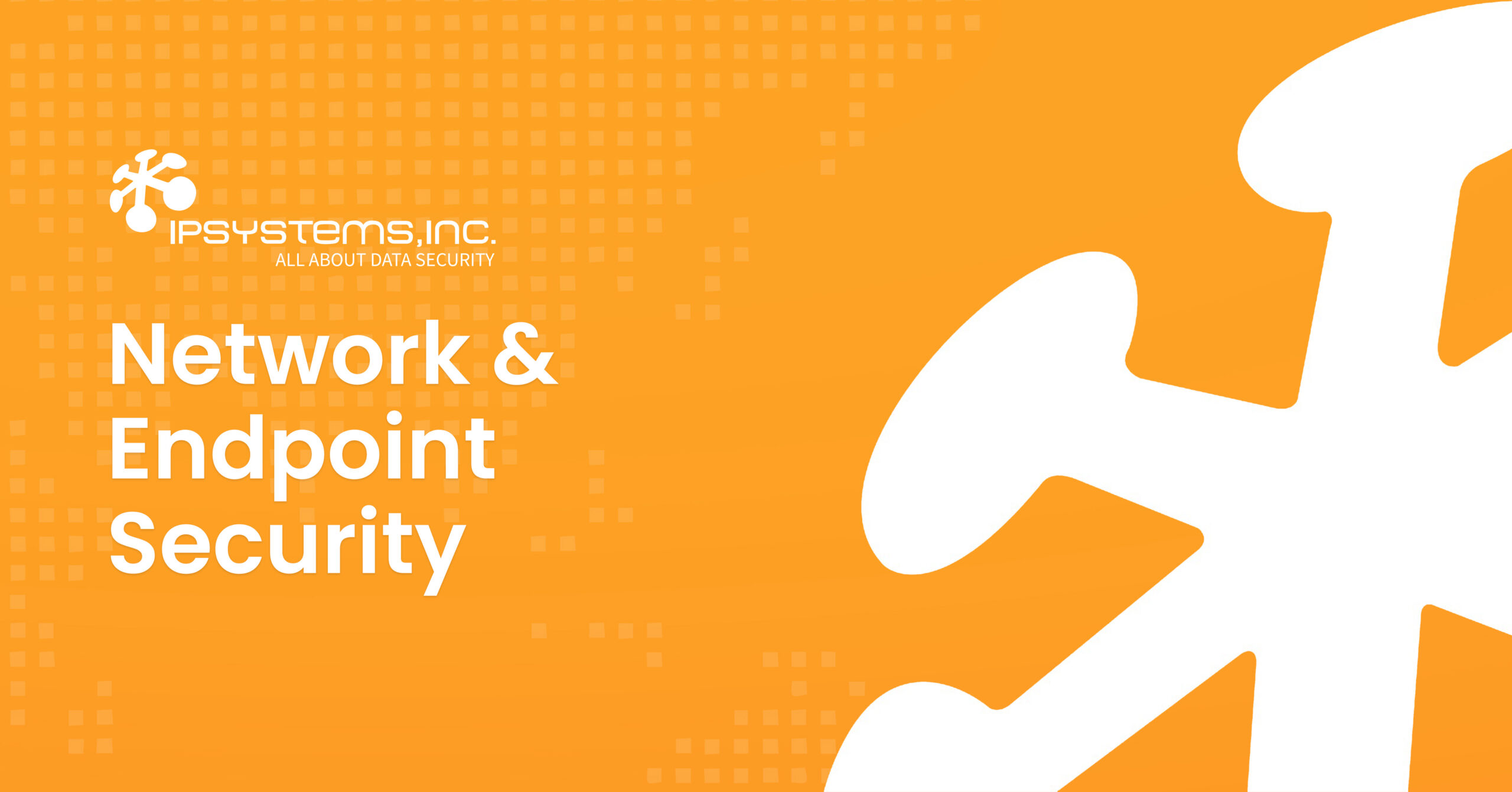 Network & Endpoint Security | IPSYSTEMS, Inc.